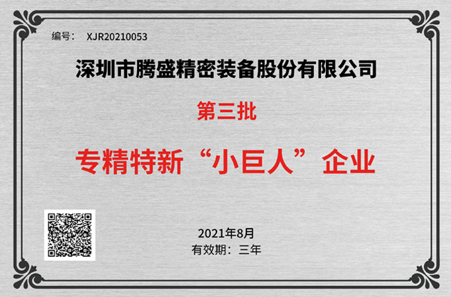 國(guó)家專精特新“小巨人”企業(yè)